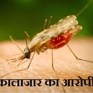 Pratiyogita Gaurav | खगड़िया जिले में कालाजार से बचाव हेतु जुलाई माह में किया...